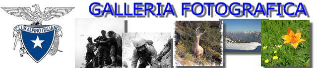  vai alla HOME PAGE