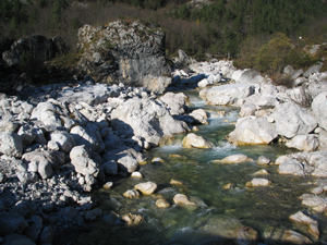 DA PONT DE NUCI